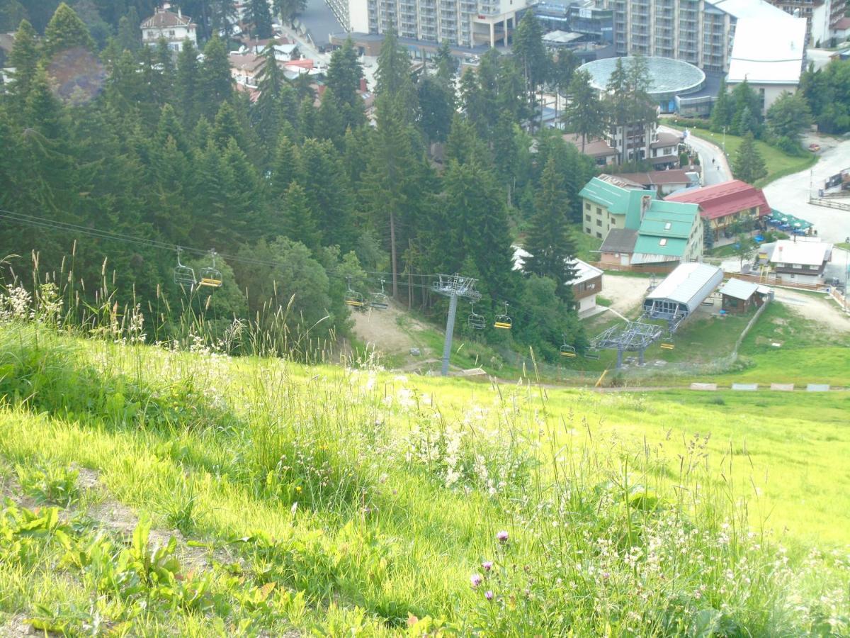 Хотел Флора Private Studio All Seasons ボロヴェッツ エクステリア 写真